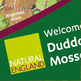 natural-england-icon.jpg