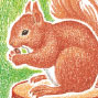top-image7.jpg